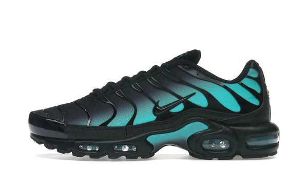 Nike Air Max Plus Black Dusty Cactus