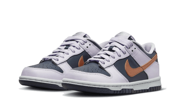 Dunk Low SE Copper Swoosh - Kup oryginalne Dunk Low SE Copper Swoosh DX1663-400 - widok z drugiego boku - Sneakersy