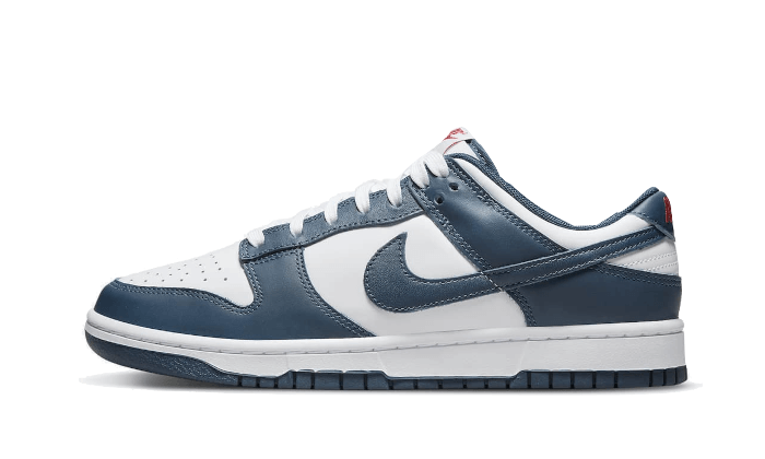 Nike Dunk Low Valerian Blue biały-czerwony - widok główny z boku | Saturaise.com