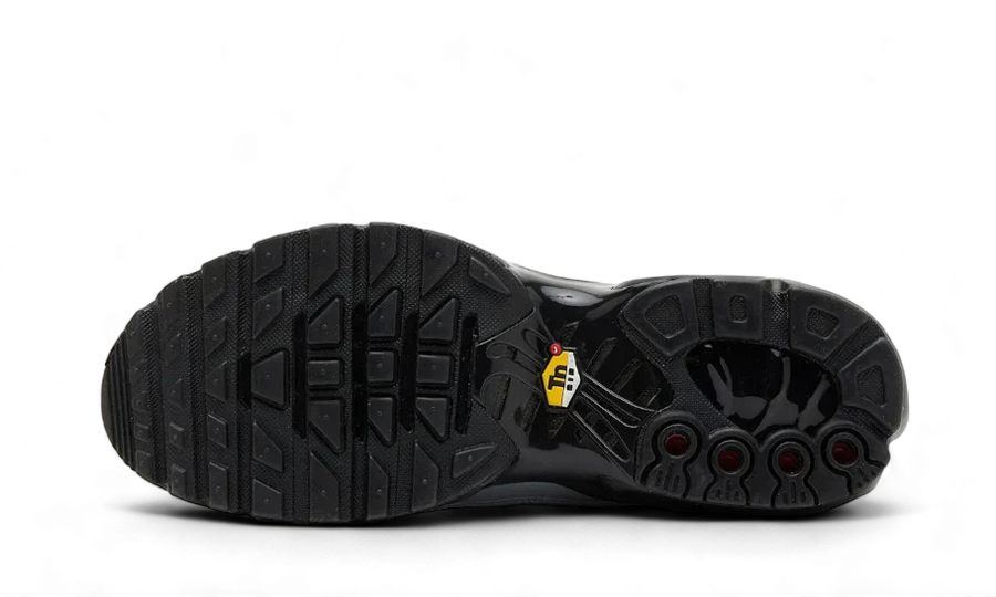 Buty Nike Air Max Plus Tiempo Wolf Grey - widok z przodu - Rozmiary EU