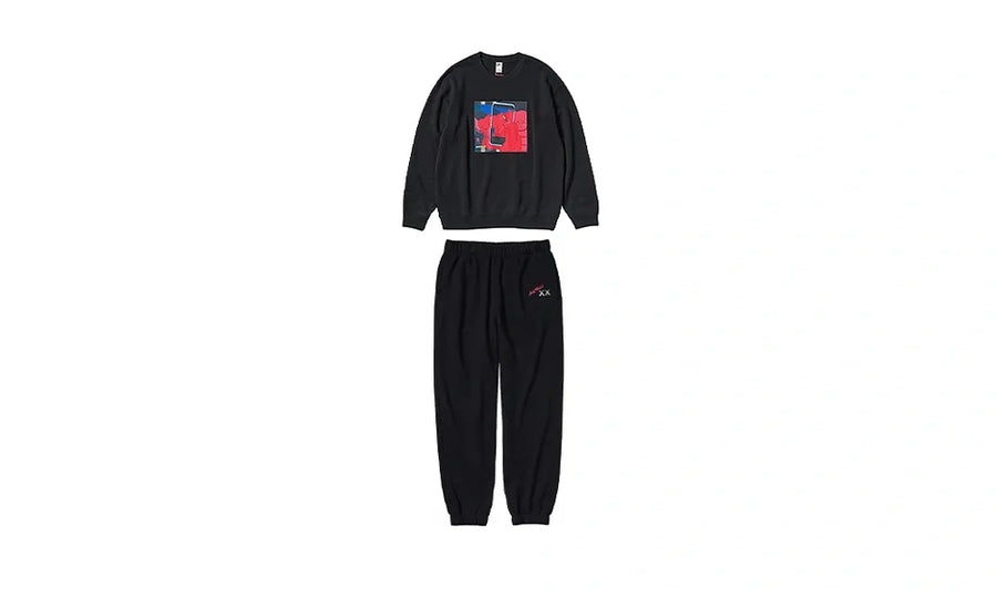 Dresy KAWS x Uniqlo Warhol Graphic 476119