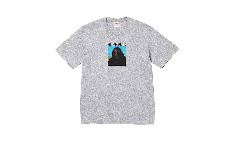Koszulka Supreme Sith Tee Grey