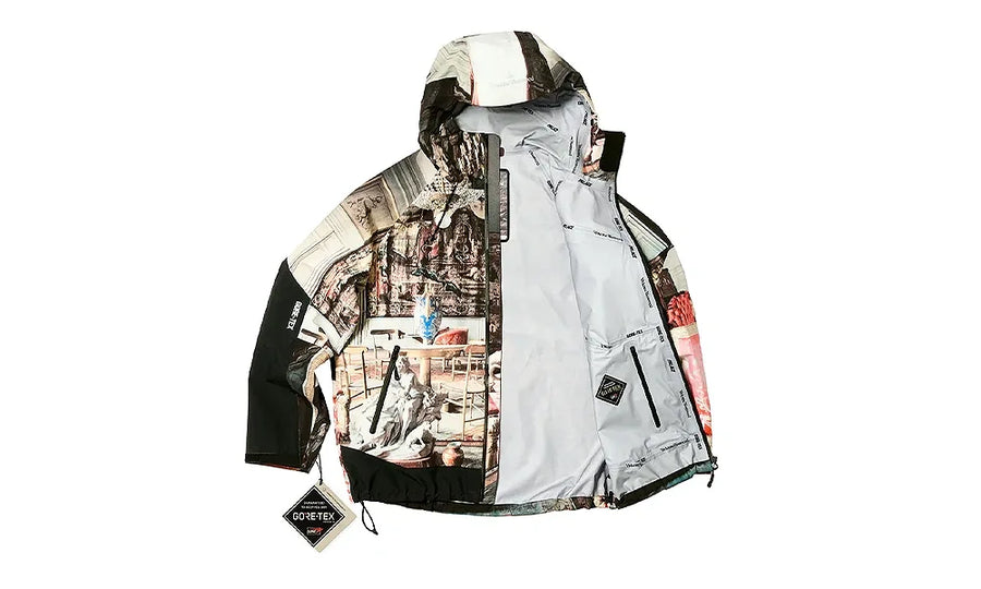 Kurtka Palace x Vivienne Westwood GORE-TEX Colour Print - zdjęcie 3