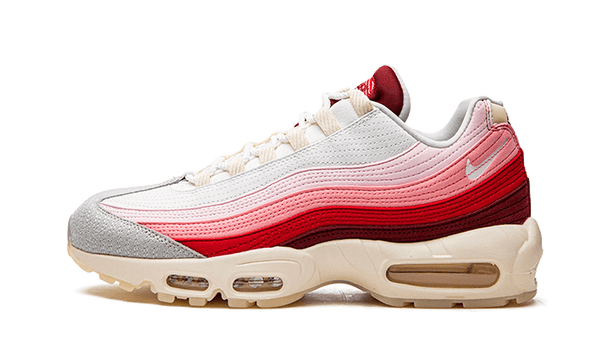 Air Max 95 Anatomy of Air