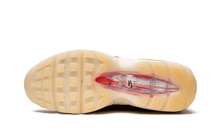 100% Oryginalne Air Max 95 Anatomy of Air - widok z tyłu - 1150.00 PLN