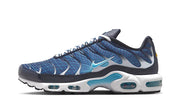 Nike Air Max Plus Dark Obsidian