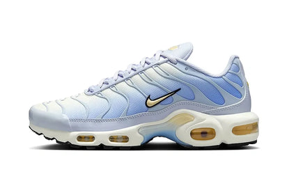 Nike Air Max Plus Daybreak (W)