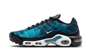 Nike Air Max Plus Dot Pattern Black Dusty Cactus (W)