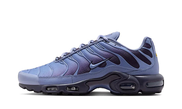Nike Air Max Plus World Indigo