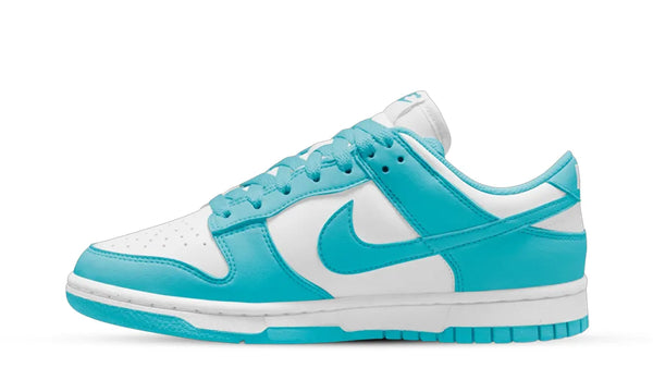 Nike Dunk Low Next Nature Dusty Cactus (Women’s)