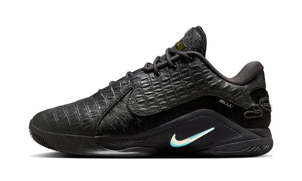 Nike LeBron 22 Black Label