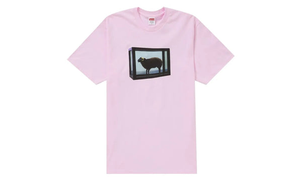Supreme Damien Hirst Tee Light Pink